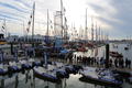 vendée globe 2012 -1