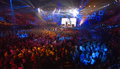 Concert des enfoirés 2013