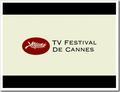 tv festival